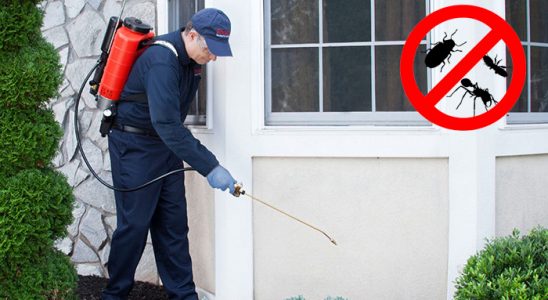 Karayazı Gümüşkurt İlaçlama böcek ilaçlama ve haşere kontrolü — ilaclama-tr.com
